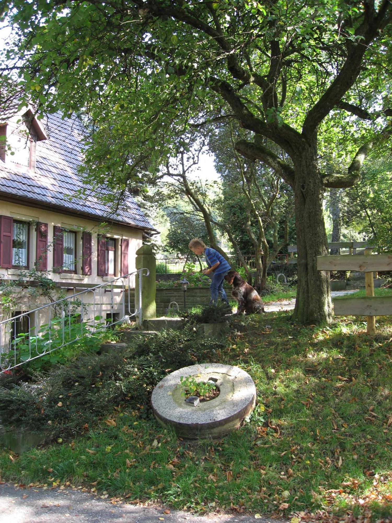 Gasthaus Zur Olmuhle Hotell Oberderdingen Exteriör bild